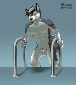 Sketchstream - Wolfeyhusky