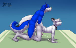 Ninterkins commission