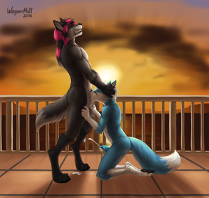 Xachary commission