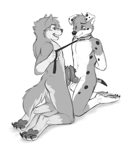 Dogs play