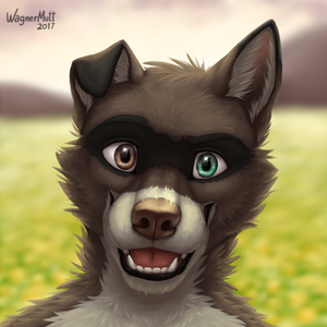 Fluffy06 commission