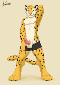 Bigcatguy commission