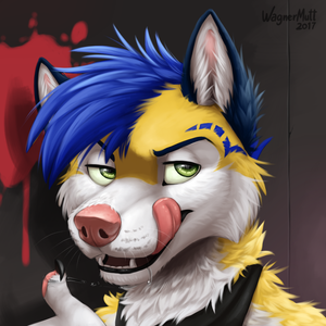 Koter commission