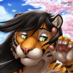 Tigerboy