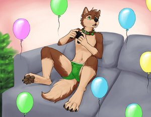 Birthday dog