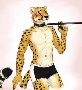Shy chee