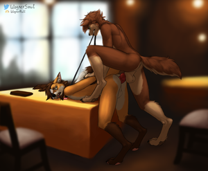 A nice dinner