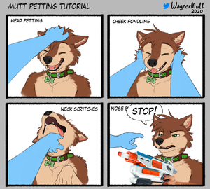 Mutt petting tutorial