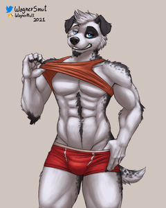 Rocky Sketchstream #2