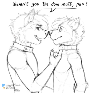 Dom pup?