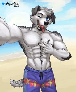 Rocky Sketchstream #3