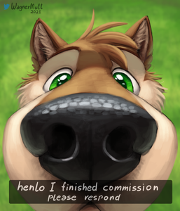 HENLO!?